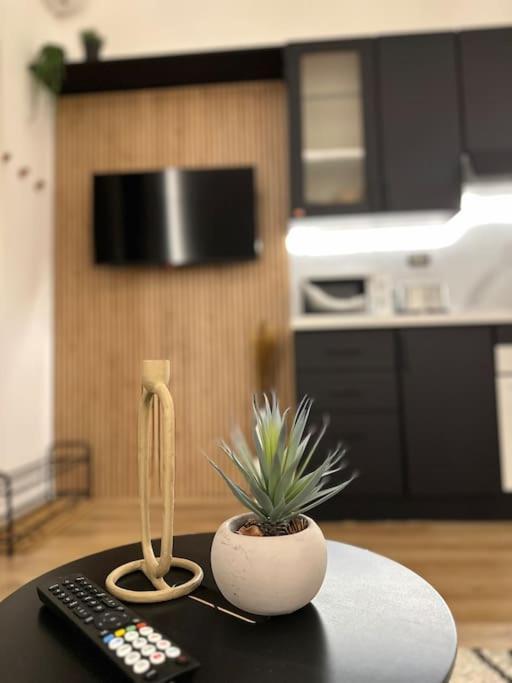 شقة La Casa Di Marlu - Gorgeous Flat In Catania Centre المظهر الخارجي الصورة
